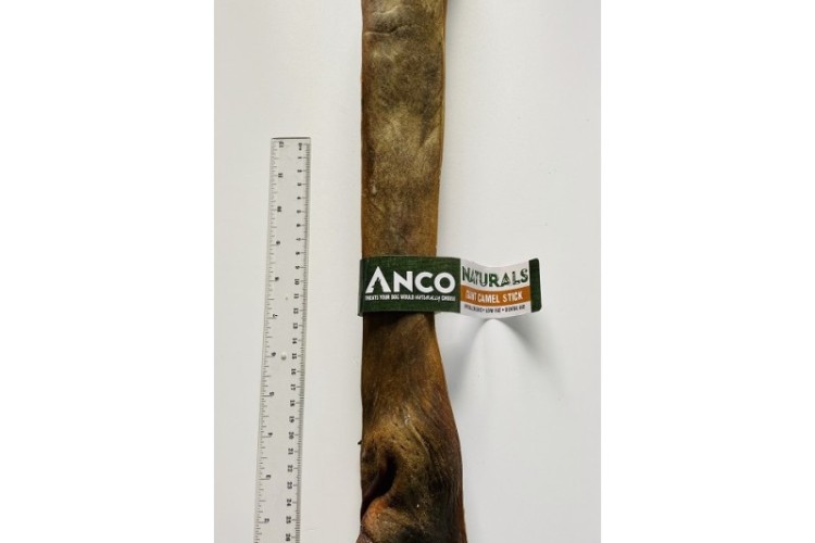 Anco - Giant Camel Sticks
