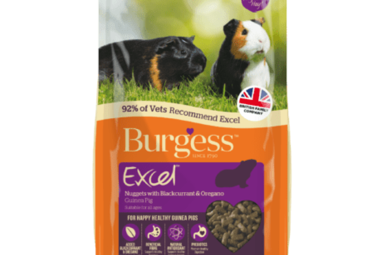 Burgess -  Excel Guinea Pig Nuggets with Blackcurrant & Oregano -  2kg
