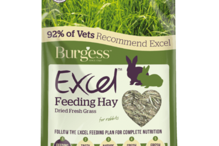 Burgess - Excel Feeding Hay Dried Fresh Grass - 1kg