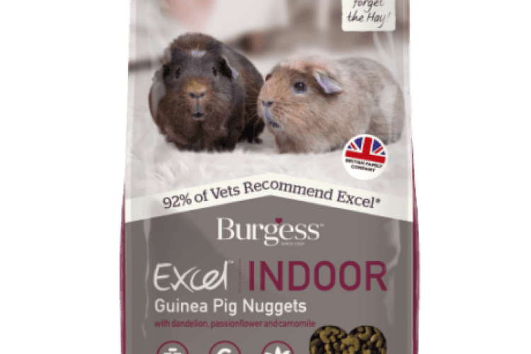 Burgess - Excel Indoor Guinea Pig Nuggets - 1.5kg