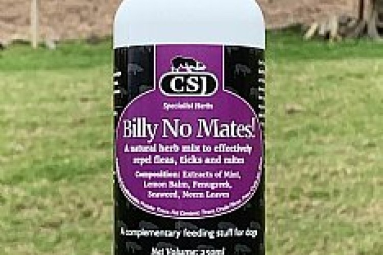 CSJ - Billy No Mates! Tincture