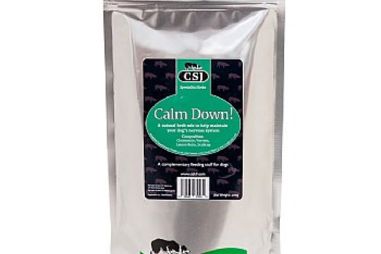 CSJ - Calm Down! 