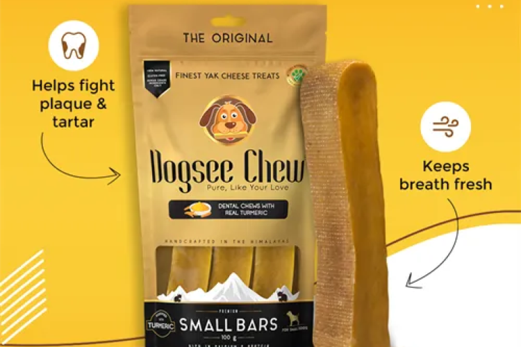 Dogsee Chew Bars with Turmeric - Large