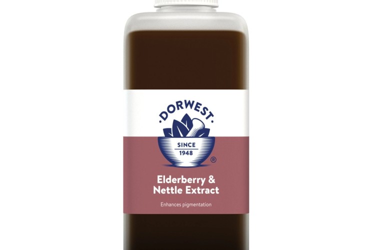 Dorwest - Elderberry & Nettle - 125ml
