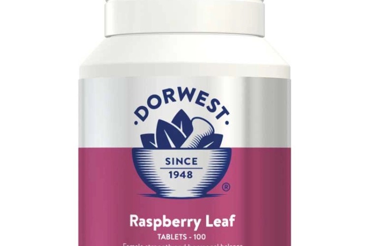 Dorwest - Raspberry Leaf Tablet