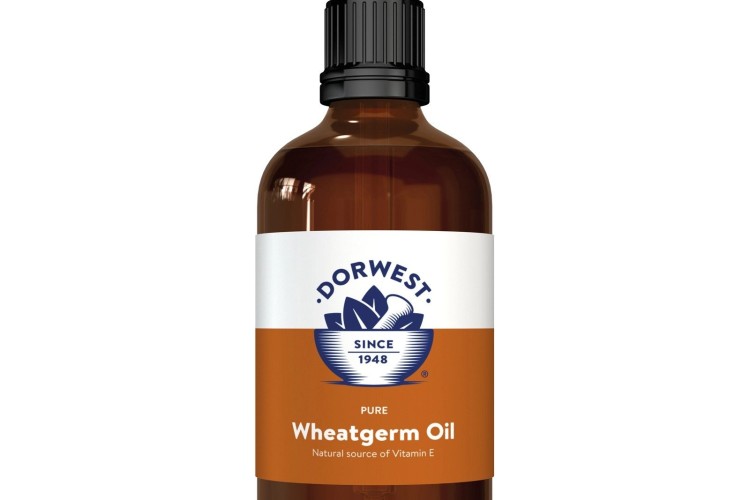 Dorwest - Wheatgerm Oil Liquid